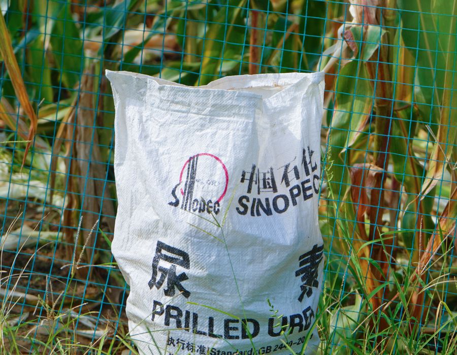 PP Woven Bag